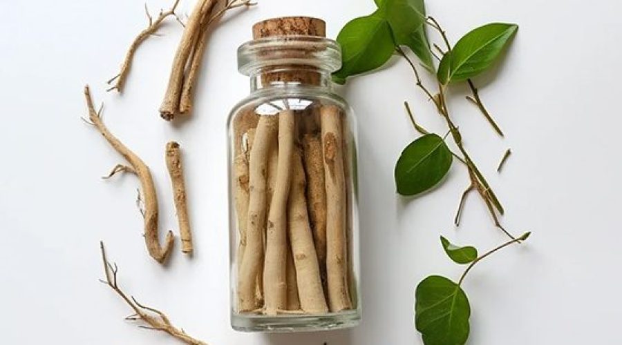 What is Ibogaine, and is it a successful strategy in addiction treatment?
